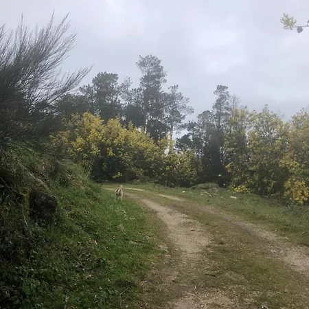 Apartment Happy Chicken, Small Farm Serra Da Estrela Gouveia (Guarda)
