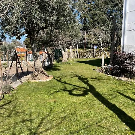 Happy Chicken, Small Farm Serra Da Estrela Apartment Gouveia (Guarda)