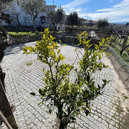 Happy Chicken, Small Farm Serra Da Estrela Apartment